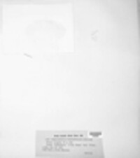 Phragmidium mucronatum image